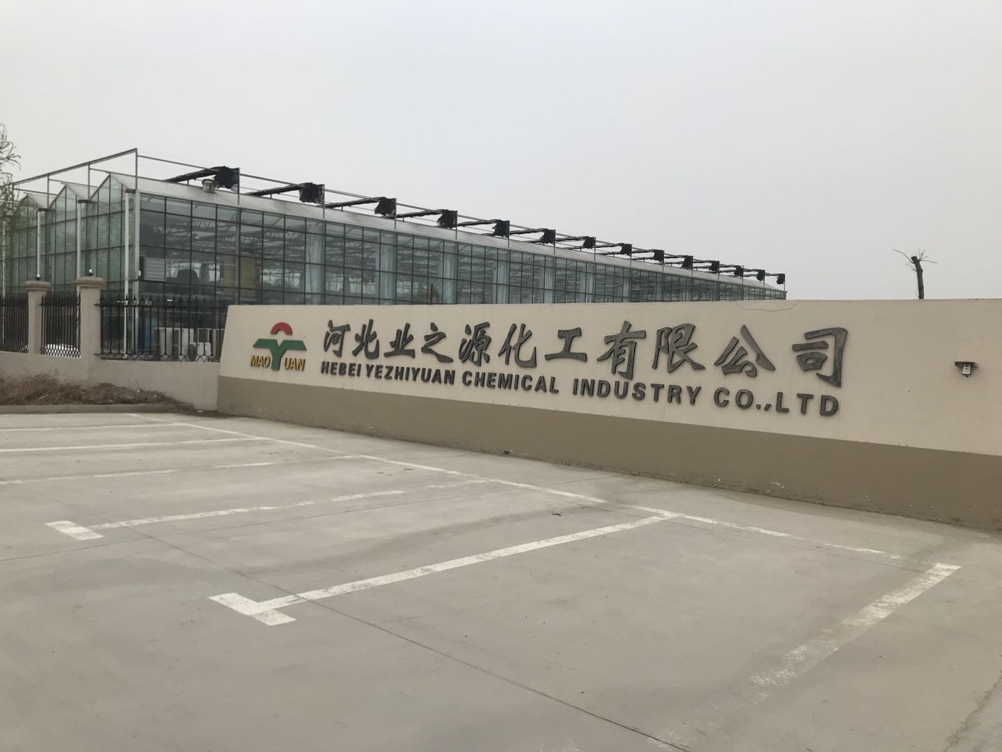 公司门楣2