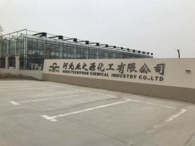 公司门楣2
